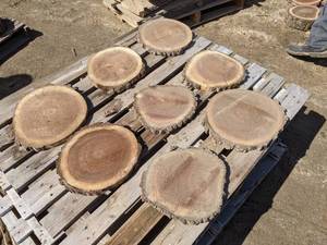 lot 52 image: (8) Black Walnut Slices (Cookies) for Crafts and More (1 Thick)
