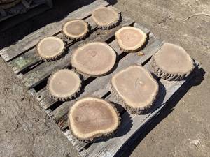 lot 53 image: Assorted Hardwood Slices (Cookies) for Crafts and More (3 & 1 Thick)