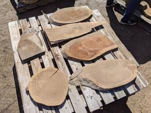 lot 54 image: Assorted Hardwood Slices (Cookies) for Crafts and More (1 Thick)