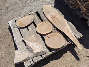 lot 55 image: Assorted Hardwood Slices (Cookies) for Crafts and More (1 Thick)