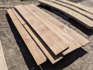 lot 5 image: Black Walnut Kiln Dried Boards - Approximately 90 bdft (1 Thick)