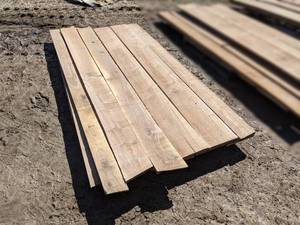 lot 6 image: Black Walnut Kiln Dried Boards - Approximately 60 bdft (1 Thick)