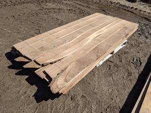 lot 7 image: Black Walnut Kiln Dried Boards - Approximately 120 bdft (1 Thick)