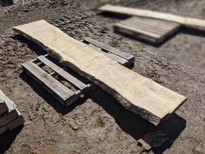 lot 1 image: Maple Live Edge Slab (2 Thick) - Ideal as a Mantel or Table