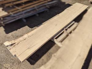 lot 2 image: Maple Live Edge Slab (2 Thick) - Ideal as a Mantel or Table