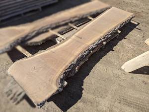 lot 3 image: Black Walnut Live Edge Slab (2 Thick)