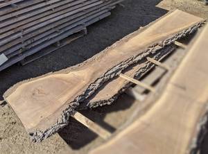 lot 4 image: Black Walnut Live Edge Slab (2 Thick)
