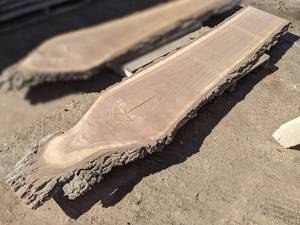 lot 10 image: Black Walnut Live Edge Slab (2 Thick)