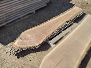 lot 11 image: Black Walnut Live Edge Slab (2 Thick)