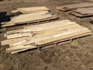 lot 15 image: Ash Kiln Dried Boards - Approximately 100 bdft (1 Thick)