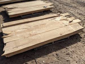 lot 17 image: Ash Kiln Dried Boards - Approximately 100 bdft (1 Thick)