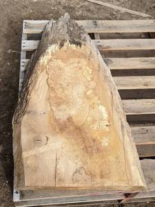 lot 27 image: Oak Slab - Approximately 49 x 23 x 2