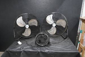 FANS