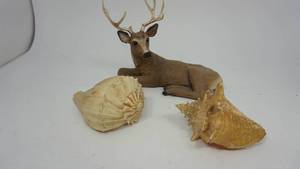 lot 24 image: Hard Plastic Buck  2 Conch Shells
