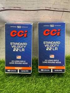 lot 23 image: 100 Rounds of .22 Ammo Ammunition