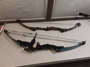 lot 13 image: 2-Vintage Compound Bows Proline Cyclone Intermediate Right & High Country Right