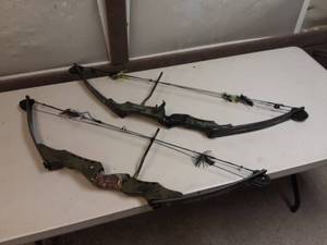 lot 16 image: 2-Vintage Compound Bows PSE Game Sport Left & Bear White Tail Left