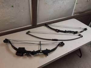 lot 25 image: 3-Youth Compound Bows