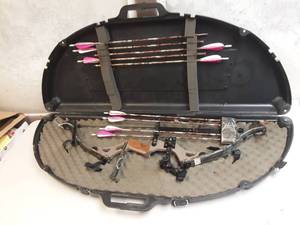 lot 201 image: Golden Eagle Vision-Comes With Quiver, Sights, Stabilizer, Case & Arrows - Right  Handed