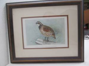 quail