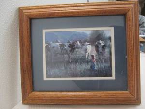 cows, young girl