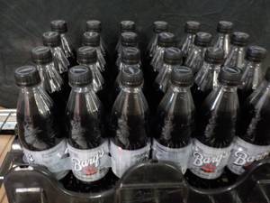 lot 341 image: Case of 24 16.9 oz. bottles Bargs ...