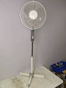 lot 220 image: 12 Oscillating Floor Fan