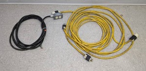 lot 342 image: Pair of Extension Cords