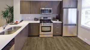 53 SF Coretec Plus XL Muir Oak LVP Flooring With Attached Cork Backing - Floating Click Vinyl