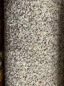 12 x 11 (132 SF) Tuftex Go Ahead II Tweed Carpet Remnant