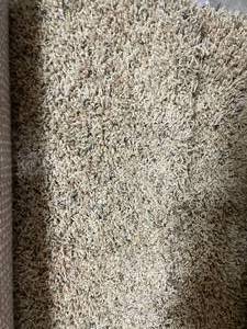 12 x 31 (372 SF) Karastan Natures Bounty Linseed Carpet Remnant