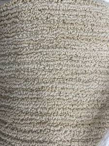12 x 18 (216 SF) Carpet Remnant