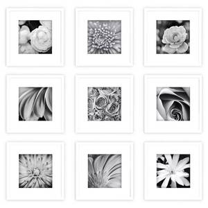 lot 42 image: 9 pack Gallery Perfect Picture Frame White - Gallery Solutions 12 x 12