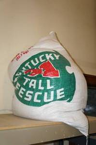 lot 228 image: Bag of Kentucky Tall Fescue Grass Seed