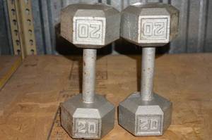 lot 243 image: Pair of 20 Lb Dumbells
