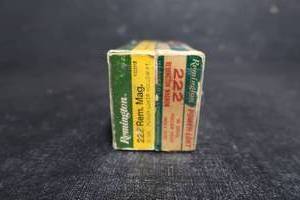 lot 41 image: 222 REM. MAG. ROUNDS