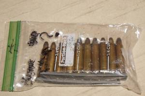 lot 70 image: 17 Rounds of .223 Rem BLANKS