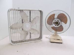 fans