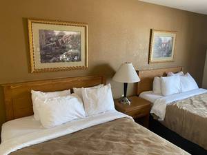 lot 204 image: Room 204