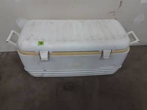 lot 38 image: Large Igloo Cooler