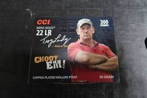22 LONG RIFLE AMMO