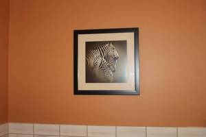 lot 59 image: Zebra Matted Framed Wall Art 18Wx18H