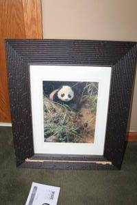 lot 300 image: Panda Bear by Seerey Jester 1995 Signed Double Matted Wood Framed Artwork 17Wx20H