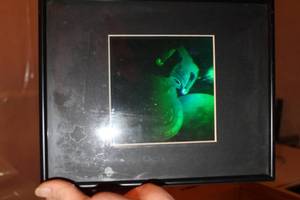 lot 317 image: U.S.S. Starship Enterprise Hologram Wall Art  8-12Wx 10-12H