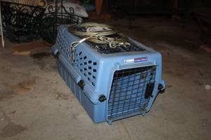 lot 425 image: PetMate 2-Door Deluxe Pet Carrier with Coated Cables 14Lx23Wx12H