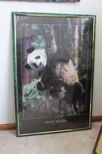 lot 250 image: Giant Panda Framed Wall Art 25Wx37H