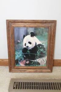 lot 247 image: Panda Bear Portrait Framed Wall Art  10-12Wx 12-12H