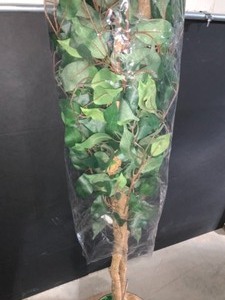 NEARLY NATURAL 5 FT. HIGH INDOOR FICUS TREE NEW SEE PICS