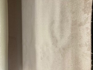 Beautiful Mohawk Stain Proof Pinewood Canvas Carpet