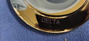 Delta Polished Brass ShowerTrim